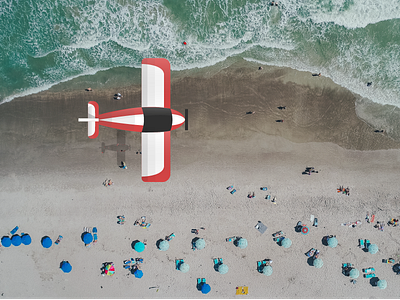 Plane over beach beach plane vector