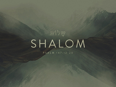 Shalom Israel Tours designs, themes, templates and downloadable graphic  elements on Dribbble