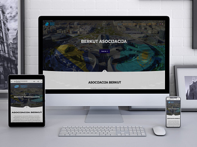 Berkut Association - website design ui ux web design webdesign website