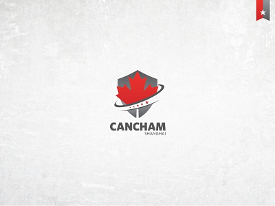 ( cancham ) concept contest icon logo mariusfechete proposal shanghai shield stars