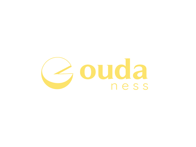 Goudaness logo brand branding design illustration logo logos vector