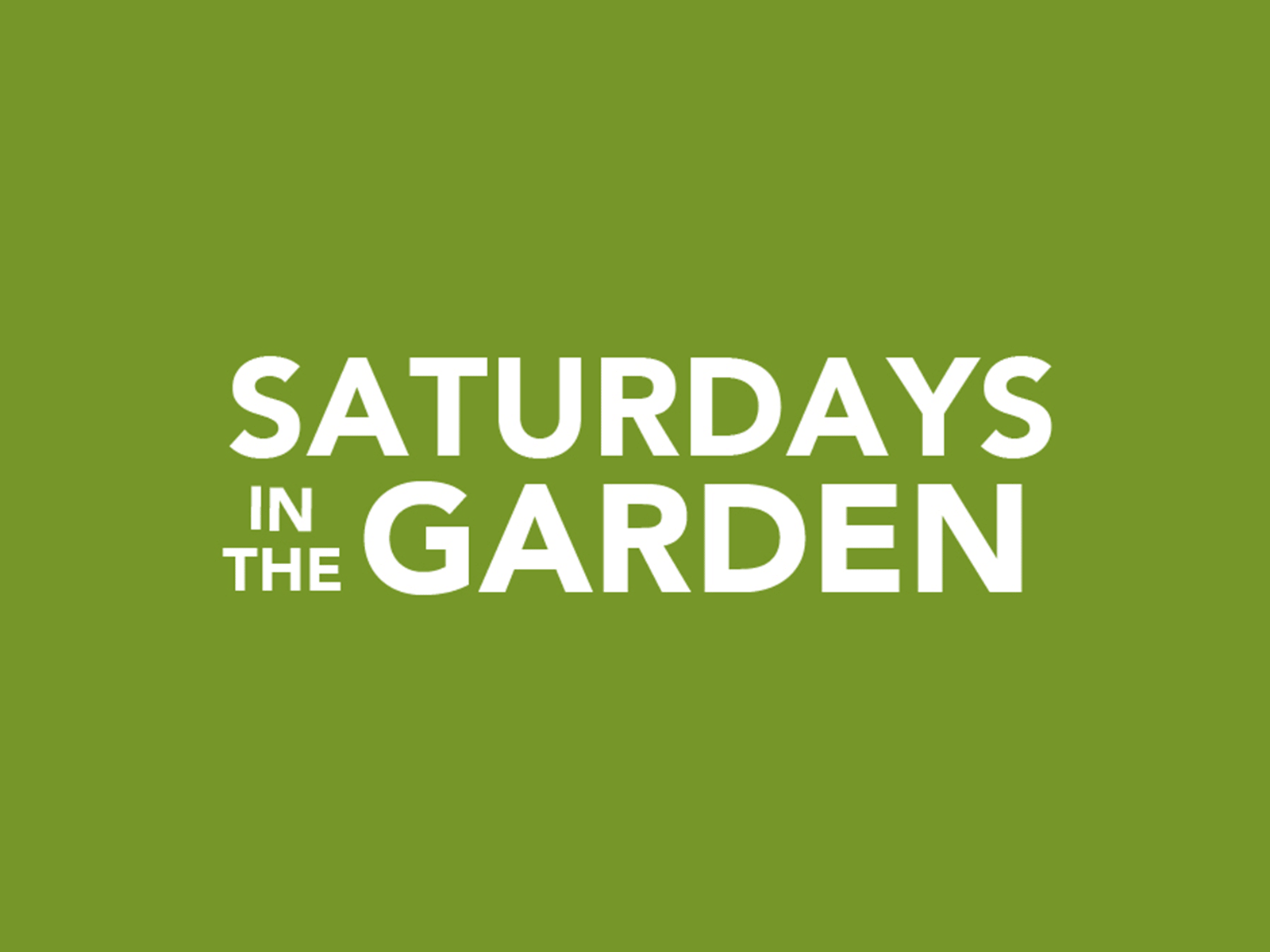 Saturdays in the Garden - Birmingham Botanical Gardens branding color palette design illustration logo logo design theme vector