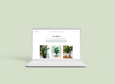 Minimal Online Store for a Local Plant Company concept design ecommerce home page layout minimal online store plants squarespace web design web experience website