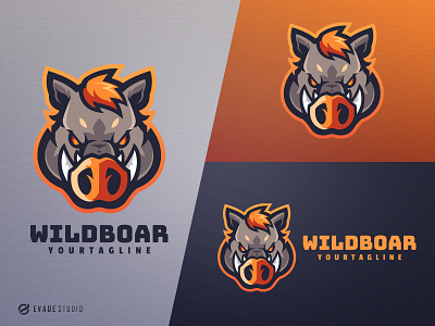 Wild Boar animal brand branding company design esport esportlogo esports general head illustration logo logoesport mascot mascot logo pig vector