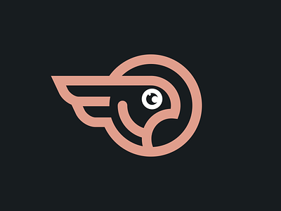 birdeye art design icon illustration illustrator logo minimal typography vector website