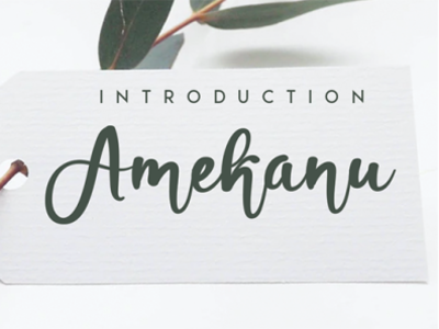 Amekanu Scrip Font andikastudio branding calligraphy classy display elegant fashion feminine handwriting invitation lettered letterhead ligature product script signature stylisth wedding