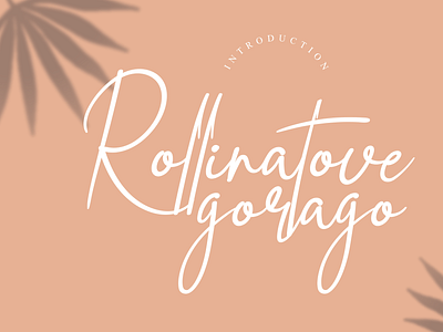 Rollinatove goraga handwriting font andikastudio branding calligraphy classy display elegant fashion feminine handwriting invitation lettered letterhead ligature product script signature stylisth wedding