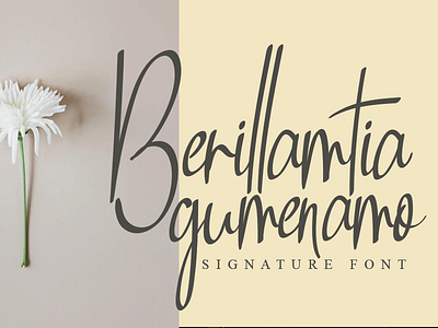 Berillamtia calligraphy font