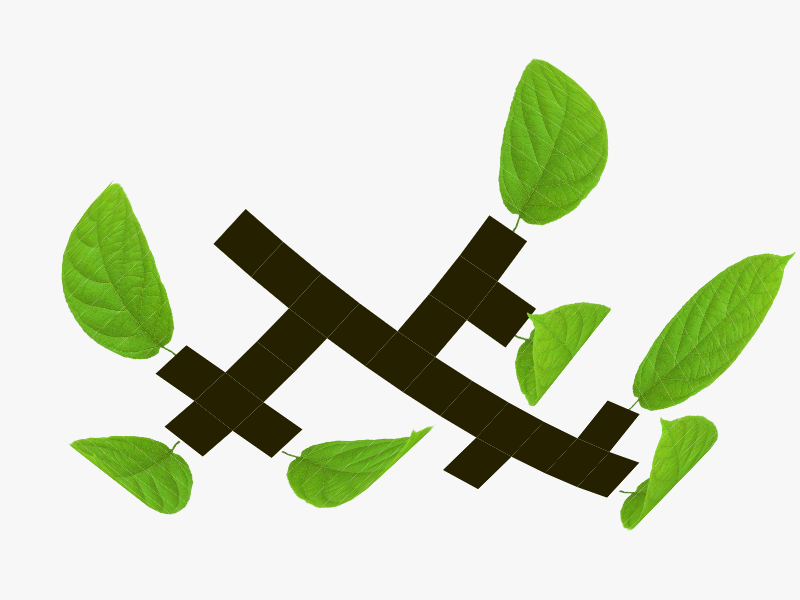 Branches and Leaves branch leave gif curl fold script ae