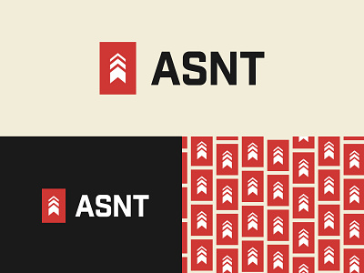 ASNT - Logo & Pattern brand design brand identity brand pattern branding design graphic design icon logo logo design pattern