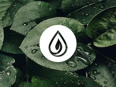 NATURAL PRODUCTS - Inspired By Nature drop of water gliwice katowice leaf logo logo products mateusz pałka natural logo nature nature logo silesia symbol studio