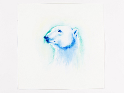 Spirit Bear illustration watercolor