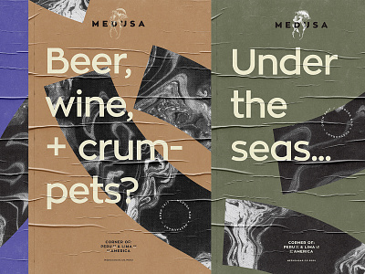 Medusa — Craft Wine and Beer bar. branding branding design design graphic design icon layout logo minimal photography type