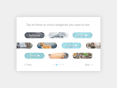 Daily UI 099 Categories