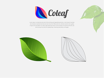 Artist Logo - Colorful Leaf Symbol abstract logo app icon artist logo brand identity branding colorful leaf colorful logo design leaf logo leaf vector logo logodesign modern logo