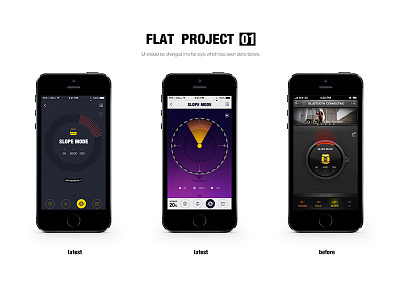 Flat project 01