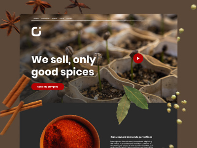 Spices Export Website brown design floating illustration landing landing page minimal spices ui ui ux video web website