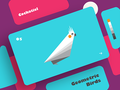 Cockatiel | Geometric Birds art bird clean colors creative design dribbble effect flat geometry graphic design illustration illustrator shadow shot typography ui ux