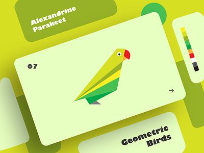 Alexandrine Parakeet | Geometric Birds art bird clean colors creative design dribbble effect flat geometry graphic design illustration illustrator shadow shot typography ui ux