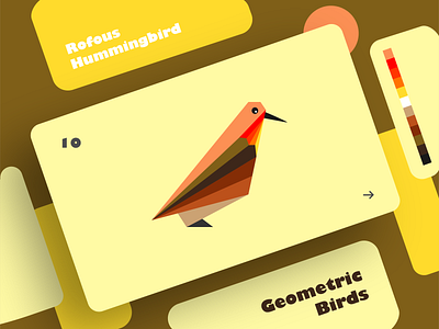 Rofous Hummingbird | Geometric Birds art bird clean colors creative design dribbble effect flat geometry graphic design illustration illustrator shadow shot typography ui ux