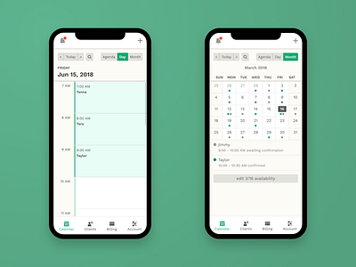 Day and month view in the Fons web app by Nathan Young on Dribbble