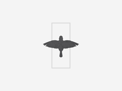 Bird design illustration vector