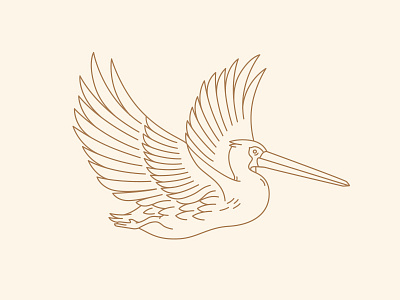 Pelican option 3