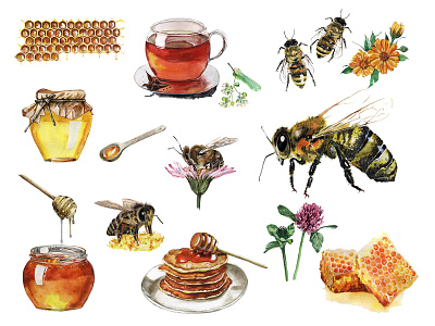 Honey bee - watercolor illustrations art bee bumblebee honey illustration sweet tea watercolor