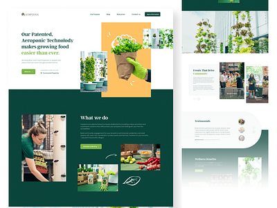 COPIANA Web Design design energy food food production green homepage leaves plant tree ui ux web design
