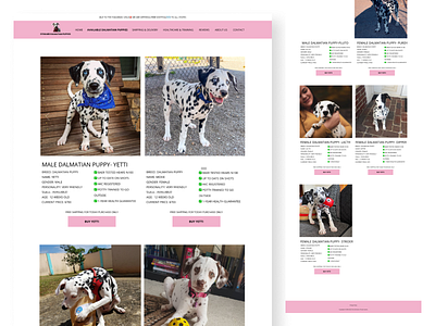 Steward Dalmatian Puppies Web Design breeder buy care dalmatian figma landing page pet pet shop puppies purchase shop ui ux web design xd