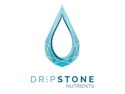 Dripstone logo design