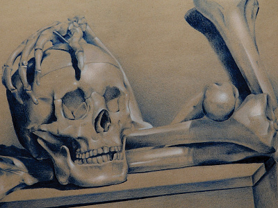 Skull Still Life anatomy illustration pencil prisma savalle still life