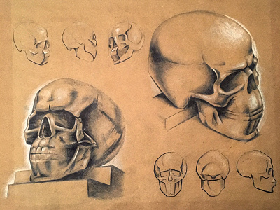 Skull study 2d drawing illustration pencil perspective skull