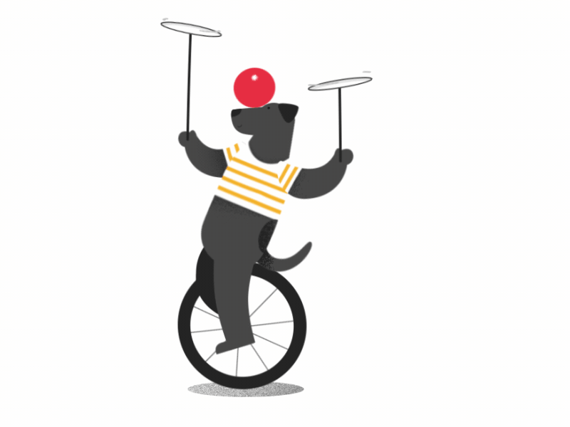 Unicycle Animation designs, themes, templates and downloadable graphic  elements on Dribbble