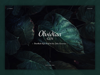 Obsidian Gin - Home gin home obsidian ui ux website website concept website design