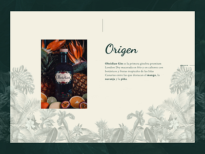 Obsidian Gin - Origin gin obsidian origin ui ux web design website concept