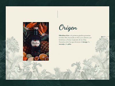 Obsidian Gin - Origin