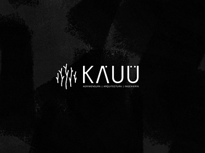 Káuü Studio