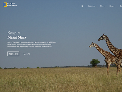 Nat Geo Concept Idea concept design landing landing page minimal nature photography ui ux web design