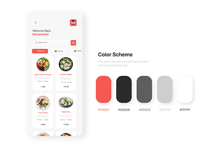 iOS App Design for Food Delivery System - Colors Scheme