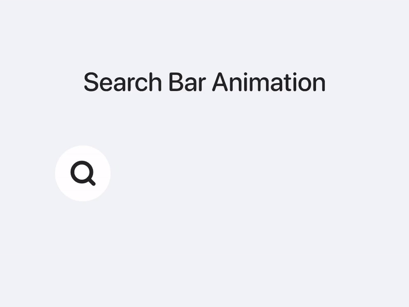 Quick Animation for the search Bar 🔎💨