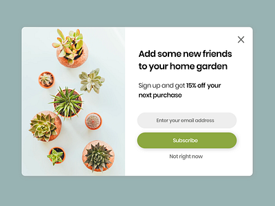 DailyUI 016 Pop-up/Overlay