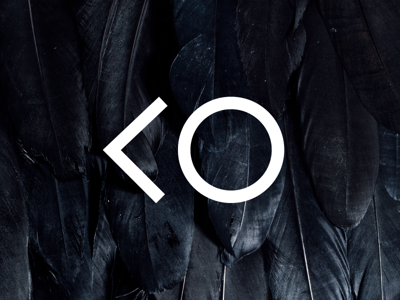 Urban Ornithology geometric texture monochromatic logo minimal