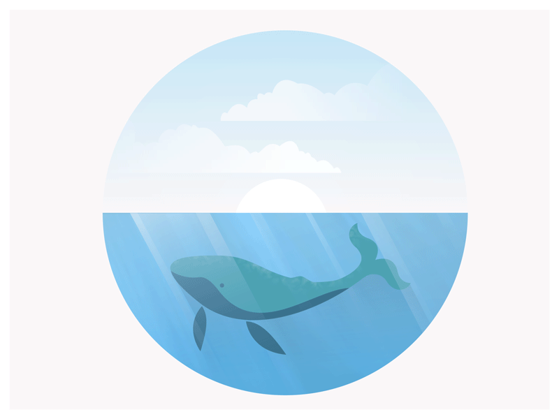 Bob the Humpback Whale after effects animation cycle gif humpback loop motion graphics whale