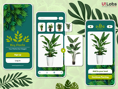 Buy Plant Mobile App | Adobe XD 2020 app branding clean clean design design interaction design mobile app mobile app design plant shop online plant shop online ui ui design ux web