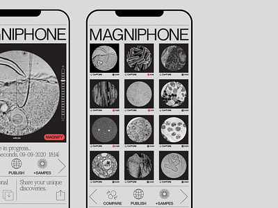 Magniphone Asset Gallery app branding design flat icon minimal typography ui ux vector