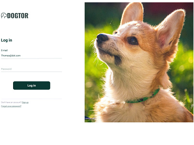 Log in - Dogtor UI/UX Design dog figma log in log in form log in screen project ui ui design uidesign uiux ux ux design web webdesign