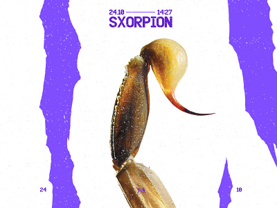 SXORPION - 24.10