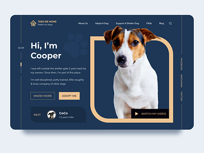 Take Me Home - Shelter for Strays Landing Page