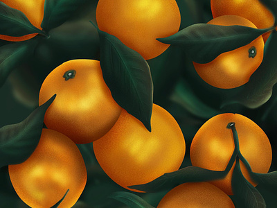 Oranges digital painting digitalart illustration procreate